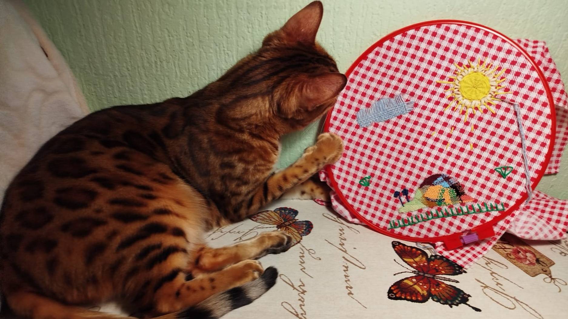 Вышивка: улитка, солнышко, облачко, травка.Embroidery: a snail, a sun, a cloud, and grass.