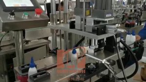 Автоматический укупорщик  (+Фидер- вибробункер + надавливание)