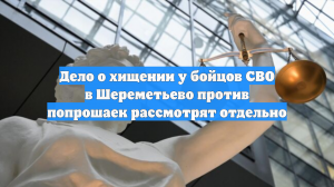 Дело о хищении у бойцов СВО в Шереметьево против попрошаек рассмотрят отдельно