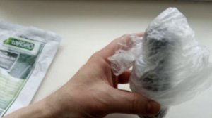 Триходерма из закваски.