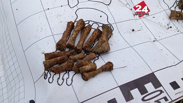 Эхо войны? смотреть онлайн