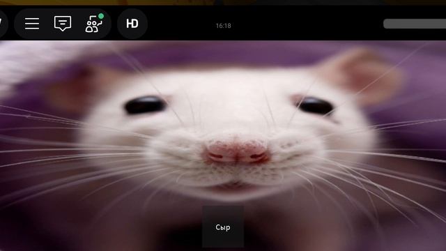 сбежать из сыра 2. 1 часть смотреть онлайн