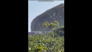 Реальные пришельцы случайно попали на камеру