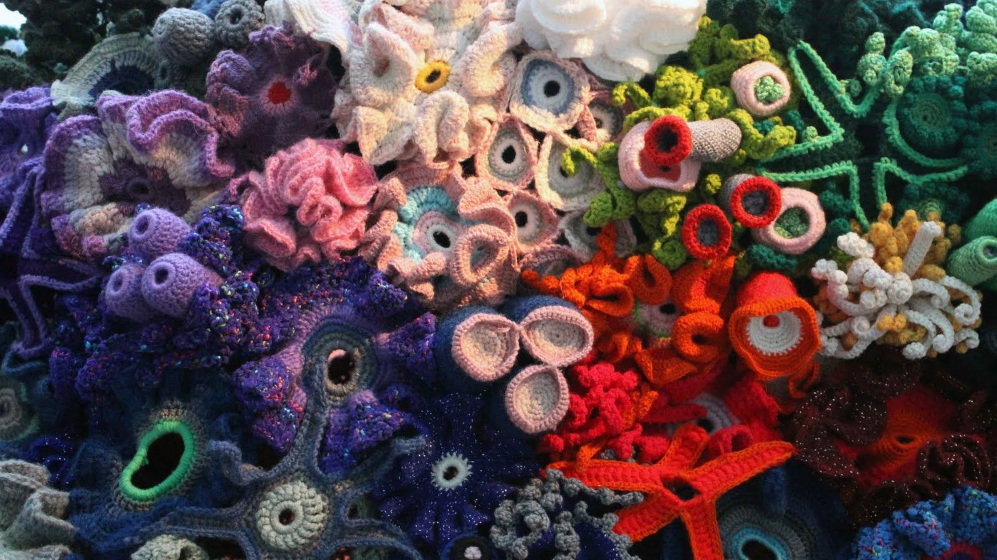 Кораллы. Интересные факты