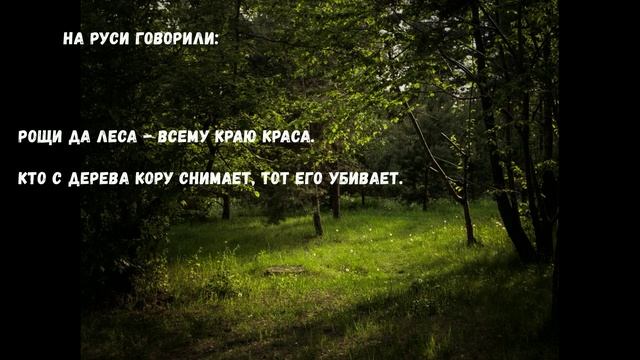 О бережном отношении к природе смотреть онлайн