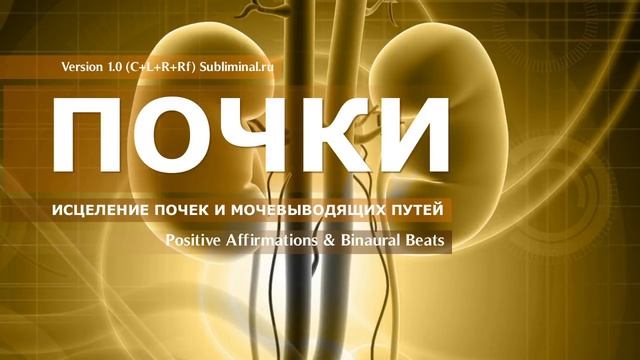 Исцеление Почек и Мочевыводящих Путей*Скрытые Аффирмации*Саблиминал смотреть онлайн