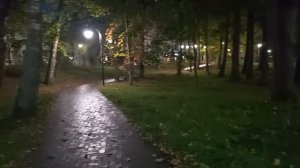 Калининградские будни, мы очень довольны результатом, Светлогорск, криветки