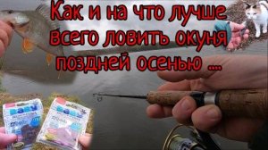 Как и на что ловить окуня поздней осенью....
