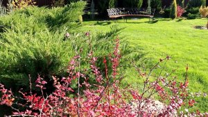 САМА ВИНОВАТА, НО ХОЧУ ПОЖАЛОВАТЬСЯ. 28.10.2025г.