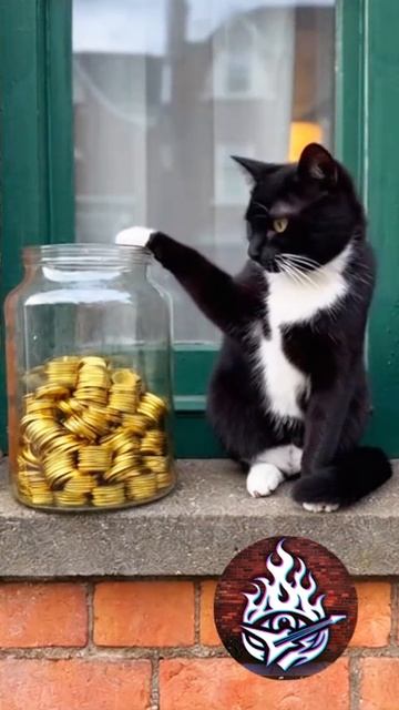 Мои Сбережения, Мой Кот и Налоговая 😻 #06 #кот #Пушкин #музыка