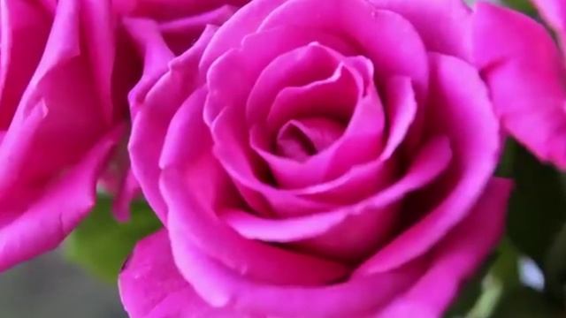 Сборник лучших песен про любовь, песни сборника про любовь лучшие, песни лучшие про любовь смотреть онлайн