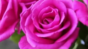 Сборник лучших песен про любовь, песни сборника про любовь лучшие, песни лучшие про любовь