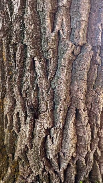 Смотрите, кого нашла смотреть онлайн