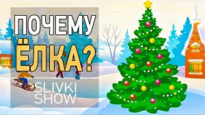 Почему наряжают Ёлку? [SLIVKI SHOW]