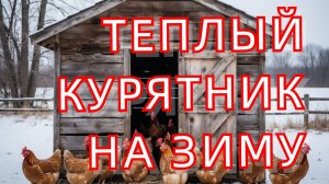 КАК УТЕПЛИТЬ КУРЯТНИК НА ЗИМУ