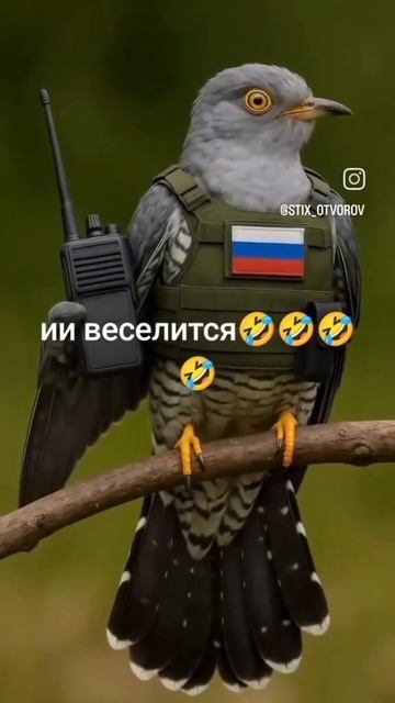 ИИ веселится. смотреть онлайн