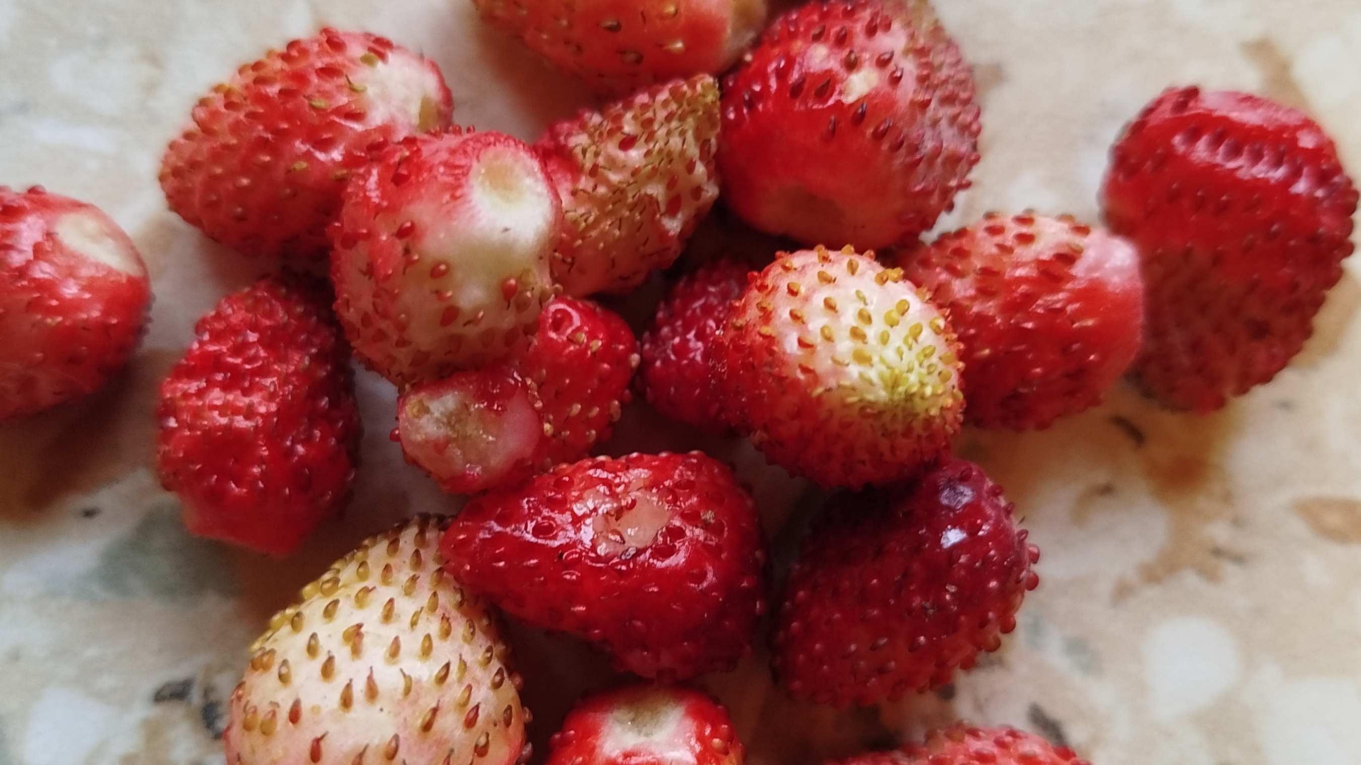 Что готовила?/Что делала?🥗🏡