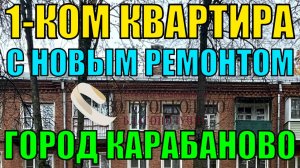 Продается однокомнатная квартира ( с новым ремонтом ) в г. Карабаново, Александровский район.