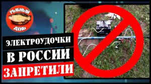 В России запретили продажу электроудочек. Рыбный день выпуск №6