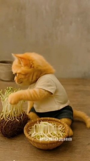 КОТИКИ ИИ ПРИКЛЮЧЕНИЯ #видео #топ #рейтинг #детский #рутуб #топ#мультик #мультики #детям