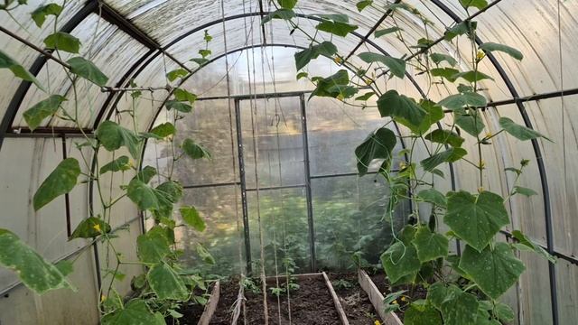 ВОТ КОМУ НАДО ВЯЗАТЬ 🤣🤣🤣Никогда не откажется смотреть онлайн