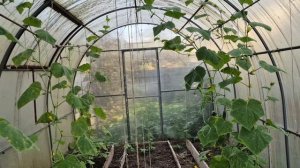 ВОТ КОМУ НАДО ВЯЗАТЬ 🤣🤣🤣Никогда не откажется