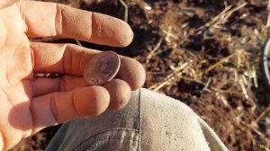 Урочище порадовало находками. Коп с Nokta Find X Pro 2025