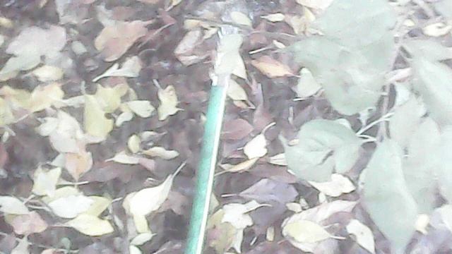 Влагозарядковый полив плодовых деревьев