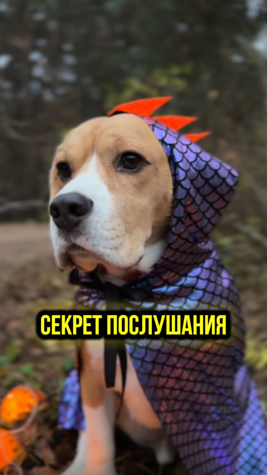 Всё легко и просто 😅 смотреть онлайн