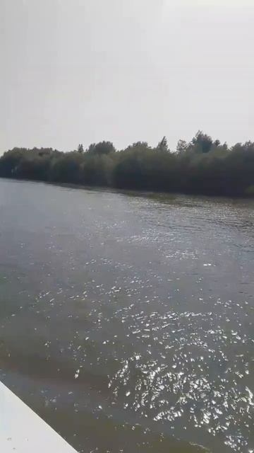 Красота смотреть онлайн