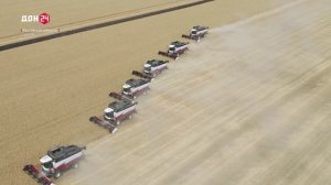 День работника сельского хозяйства