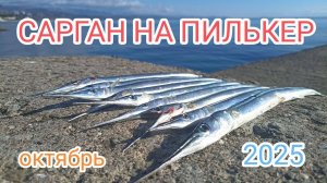 Как ловить саргана на пилькер в Чёрном море? Рыбалка в Алуште.