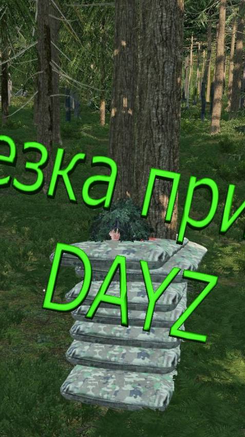 Миниатюрный Админ в DAYZ (Приколы)