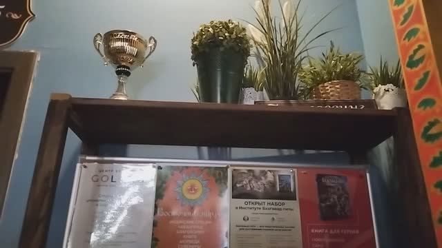 Выступление музыкантов в кафе "Люблю и Благодарю"