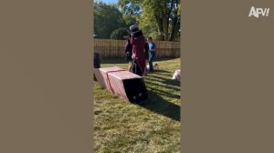 America′s Funniest Home Videos. Best Halloween Videos 🎃 Funniest Spooky Fails