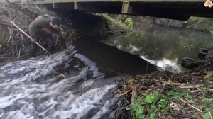 Строительство, расчистка реки