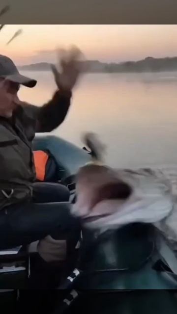 Огромная щука чуть не сожрала рыбака на пвх лодке! (16 +).. смотреть онлайн