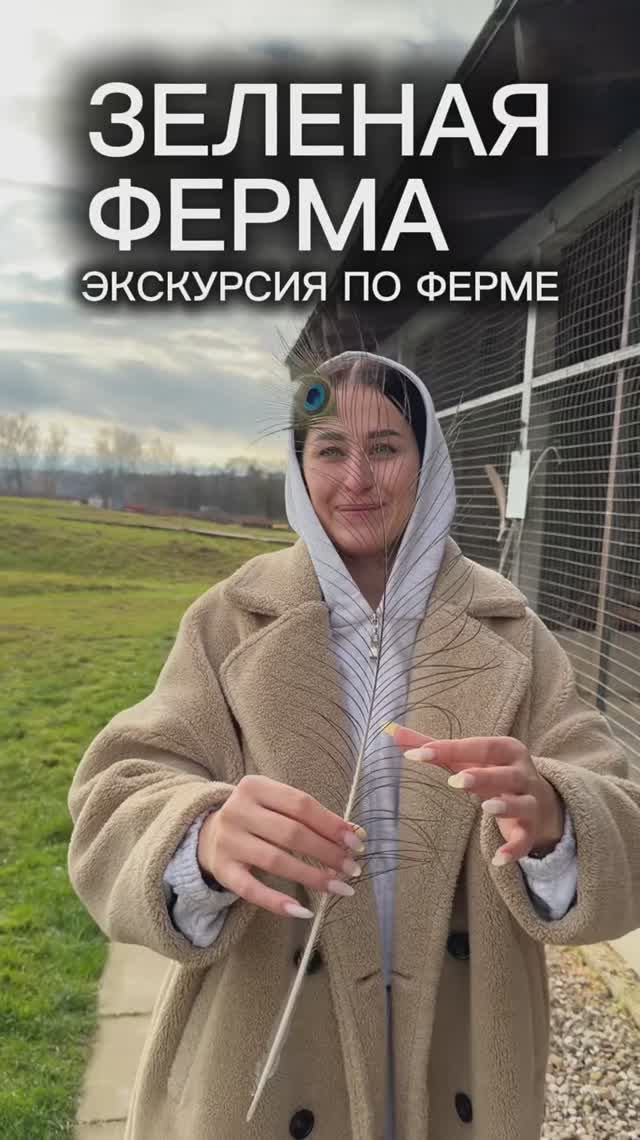 Экскурсия по ферме смотреть онлайн