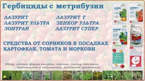 Лазурит, Зонтран и Зенкор - средства от сорняков в посадках картофеля,томата и моркови. Обзор