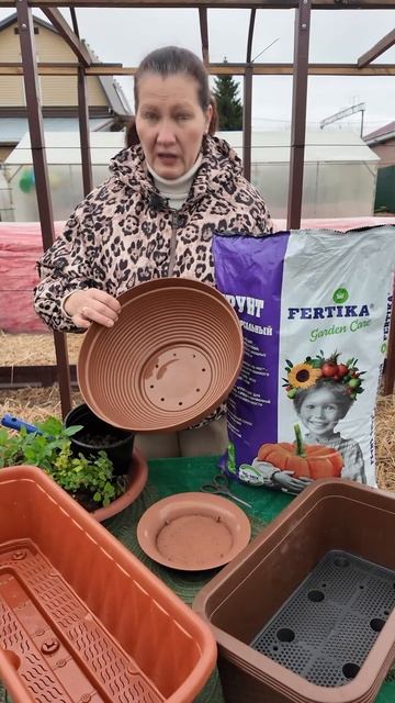 ЧАЙНЫЙ САД НА ПОДОКОННИКЕ - ПРЯНЫЙ МИКС ИЗ САДА , ЗАБИРАЕМ ДОМОЙ смотреть онлайн