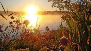 Муслим Магомаев – Луч Солнца Золотого (Серенада Трубадура)