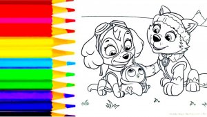 Раскраска щенячий патруль | видео для детей и малышей ❤️