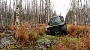 За монетами через болота #539