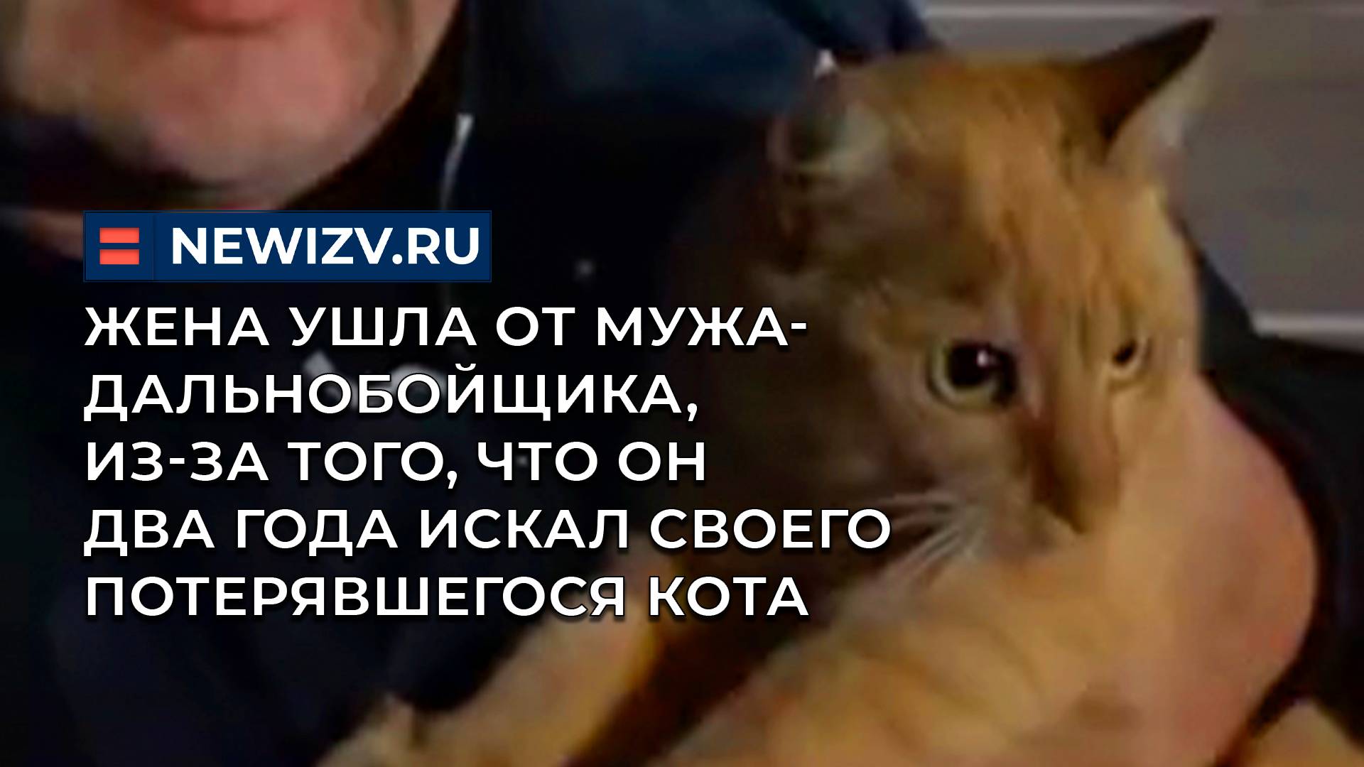 Жена ушла от мужа-дальнобойщика, из-за того, что он два года искал своего потерявшегося кота смотреть онлайн