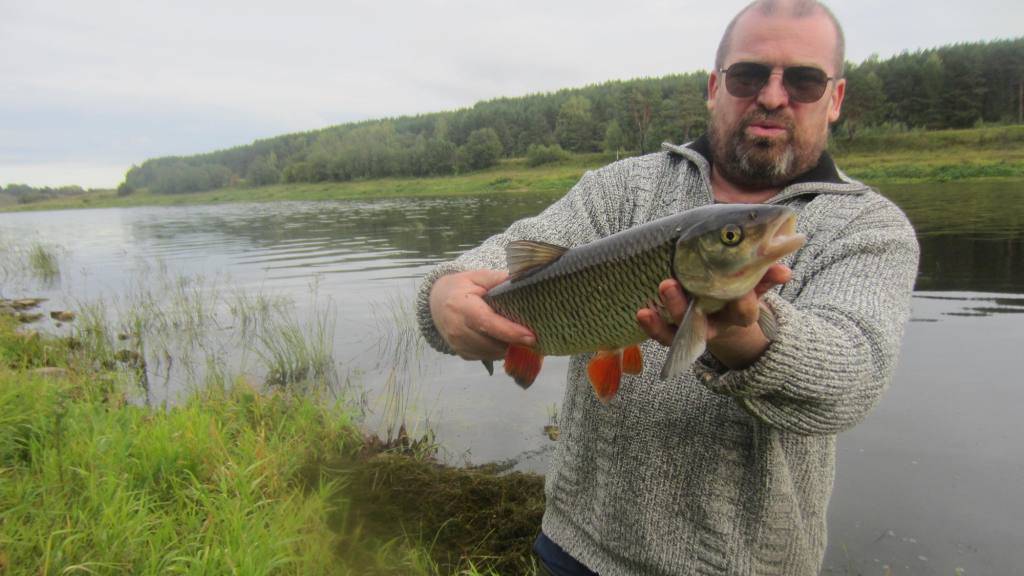 Старица (2007 Май) музыка