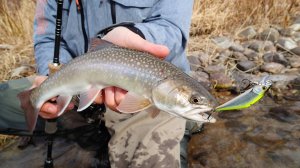 Ловля гольца в Приморском крае