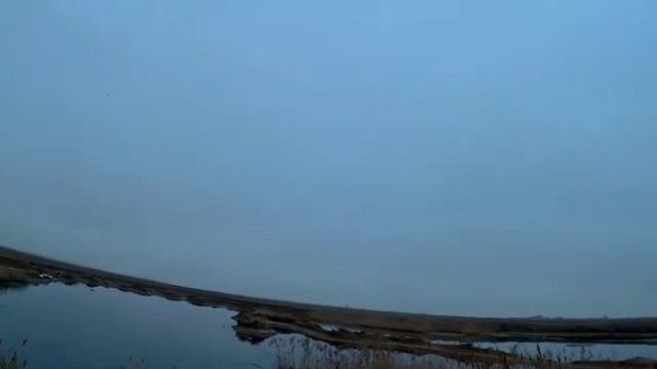 охота с подхода