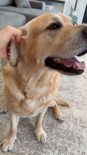 Так намного лучше 😁