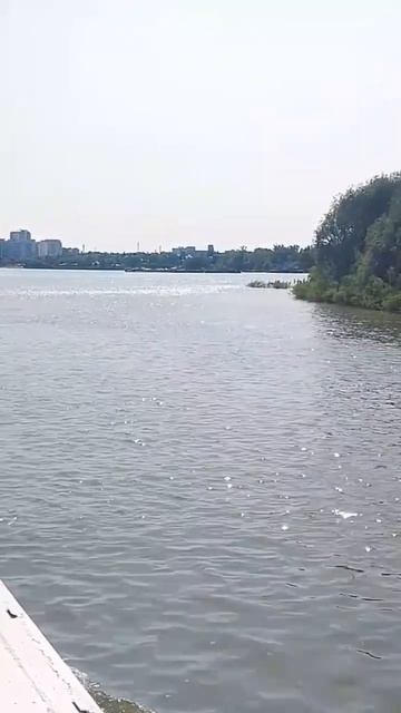 Это лето смотреть онлайн