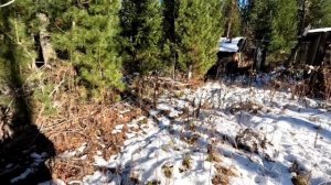 Заезд в тайгу. Открытие охот- сезона 25 - 26 г.